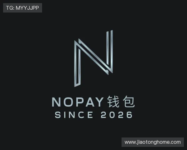 介绍NOPAY钱包