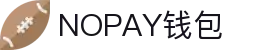 NOPAY钱包 - 数字钱包支付平台|安全便捷的移动支付